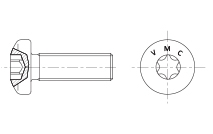Hexalobular socket pan head screws (6 lobe)